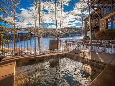 Beaver Creek Bachelor Gulch Condo 896396